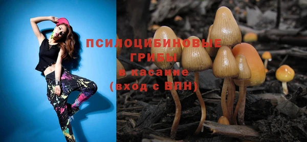 дмт Володарск